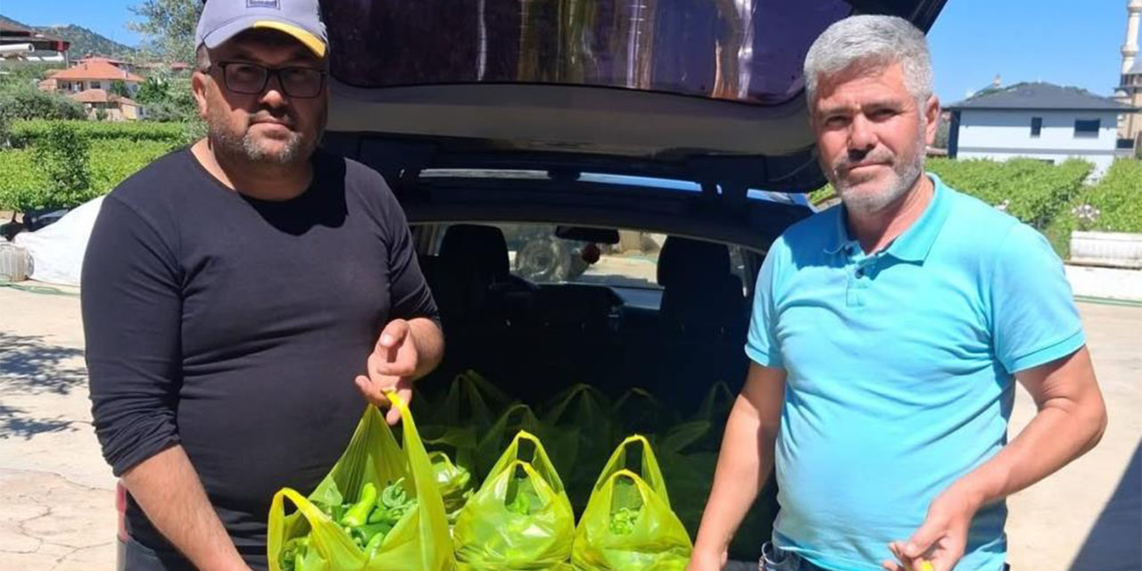 Sarıgöl’ün meşhur Emcelli biberi gurbetçilerin gözdesi oldu