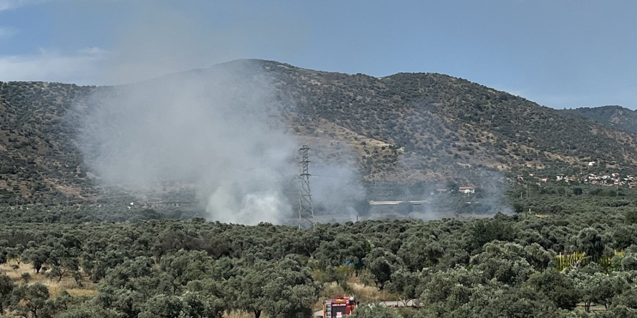 Bayındır’da zeytinlik alanda yangın