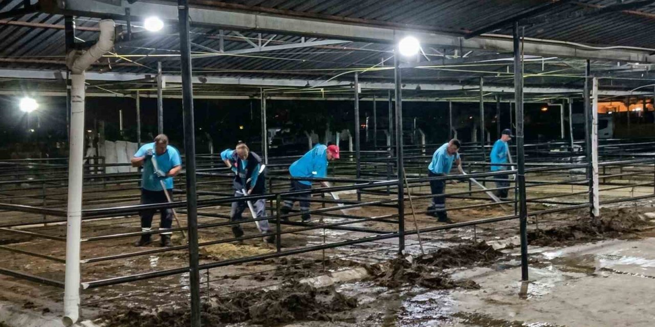 Efeler’de bayram sonrası kapsamlı temizlik seferberliği