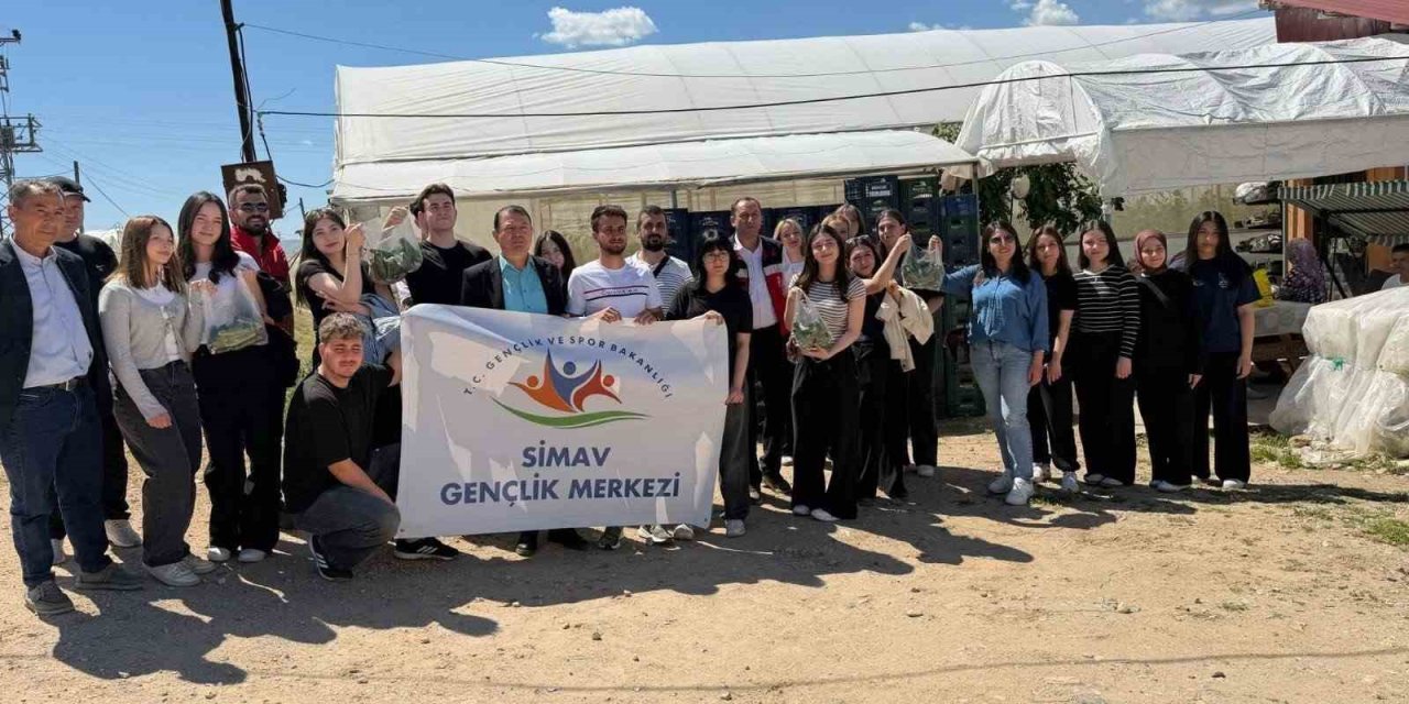 Simav’da gençler serada hasatla buluştu