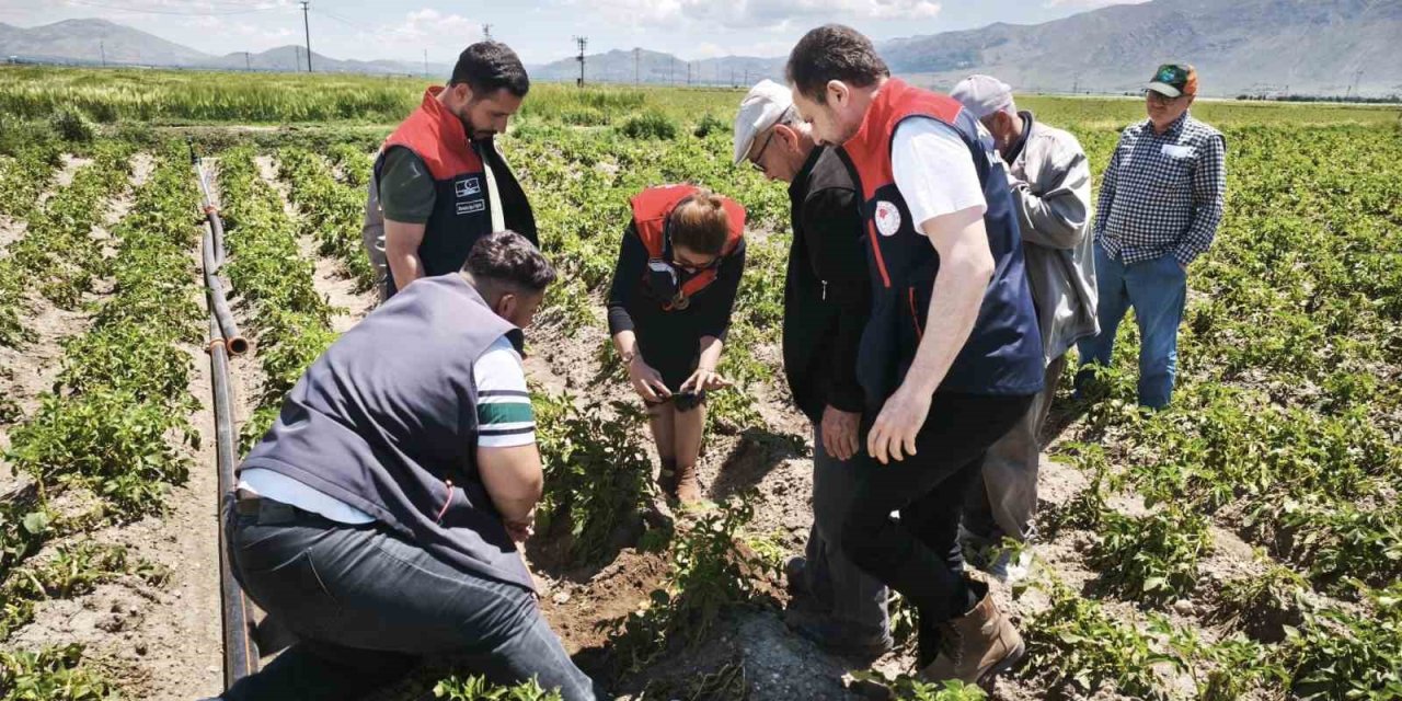 Dolu yağışı tarım alanlarına zarar verdi