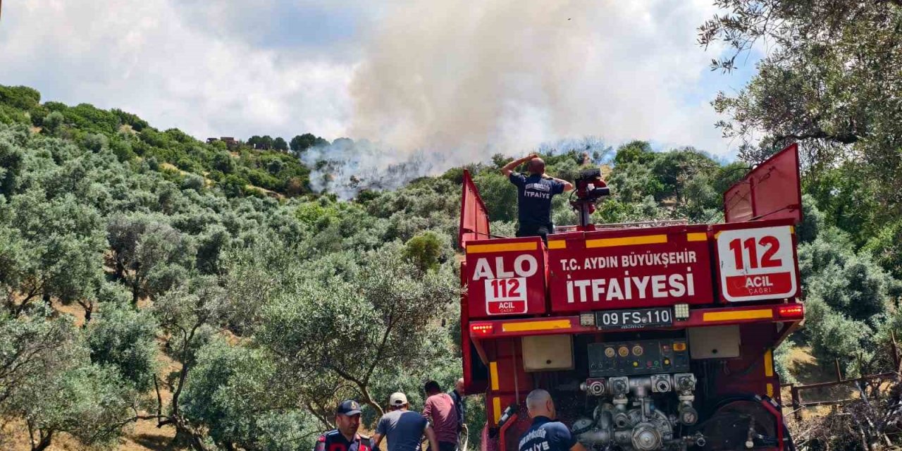 Yenipazar’daki makilik yangını kontrol altına alındı