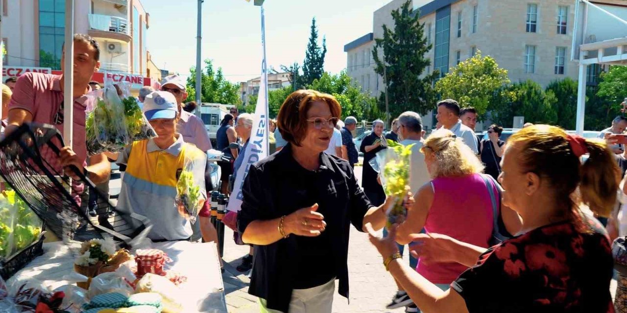 Didim Belediyesi’nden ücretsiz fide dağıtımı