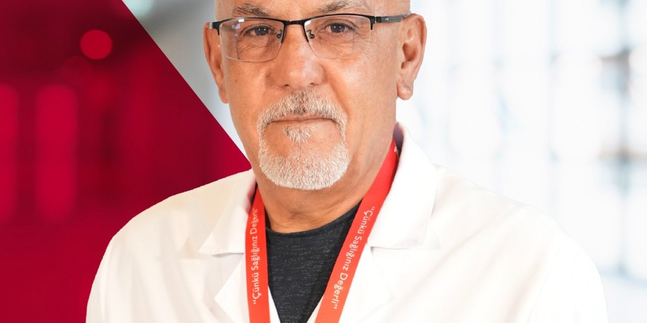 Sivrisinek kaynaklı chikungunya virüsüne karşı uyarı