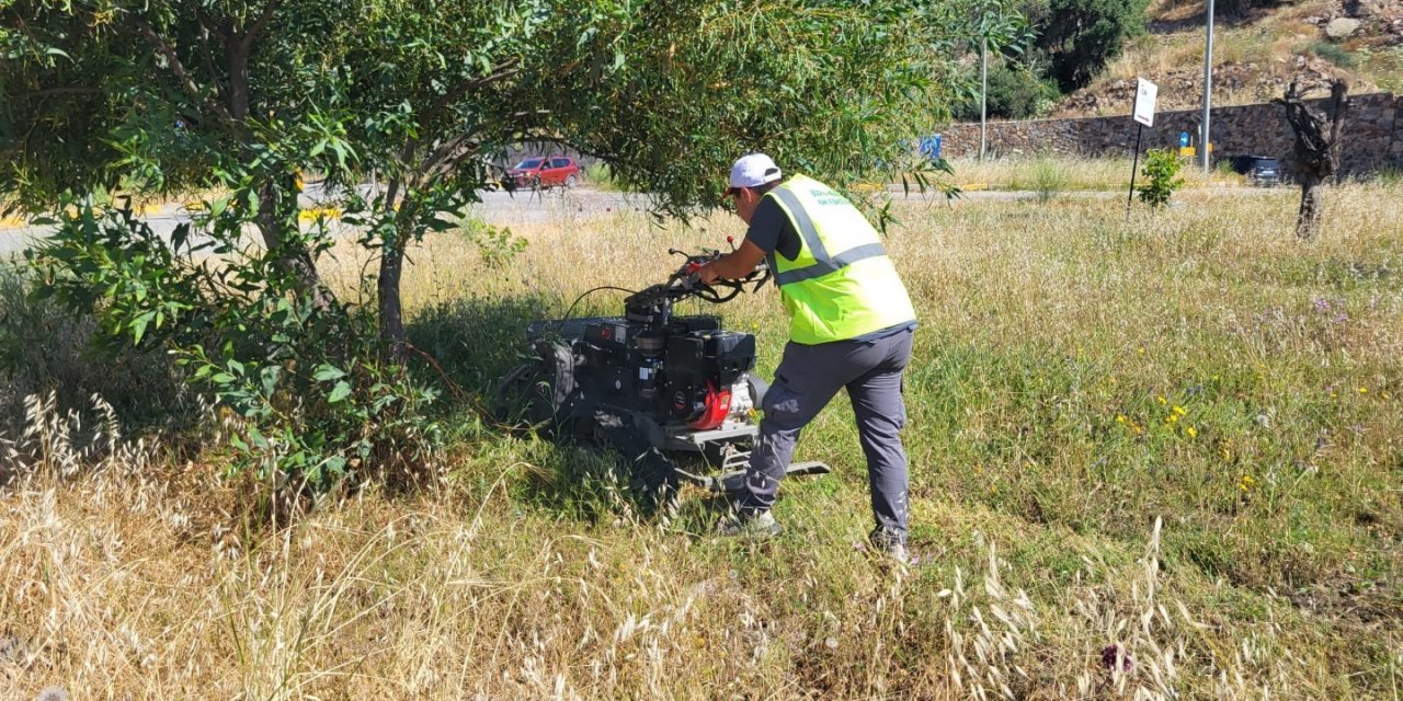 Bodrum’da ot temizliği çalışmaları tüm hızıyla devam ediyor