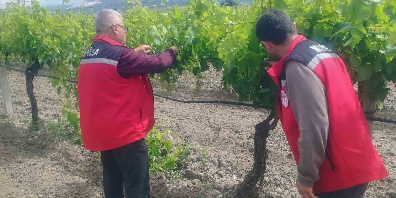 Manisa’da tarım denetimleri hız kesmiyor