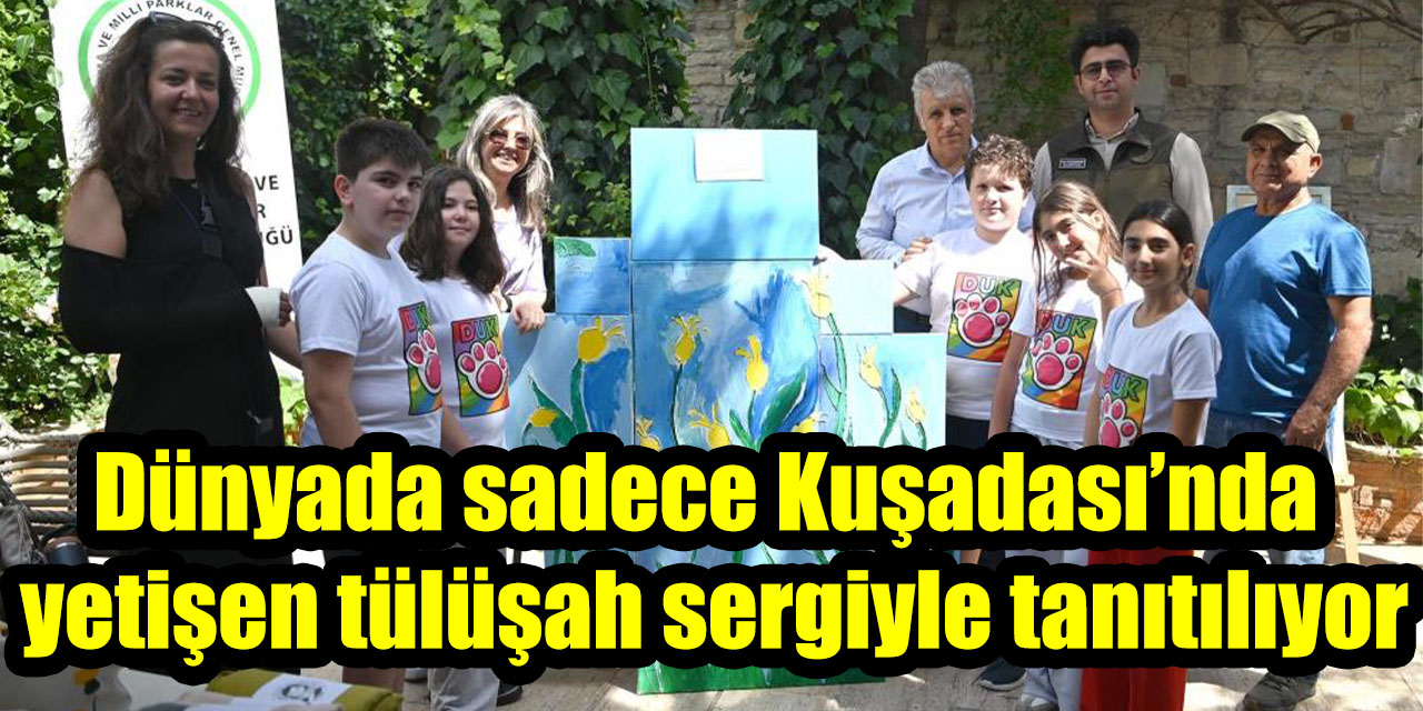 Dünyada sadece Kuşadası’nda yetişen tülüşah sergiyle tanıtılıyor