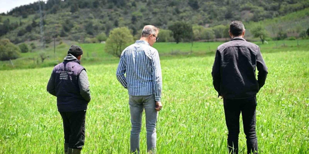 Manisa Büyükşehir’in toprakla buluşan tohumları yeşerdi