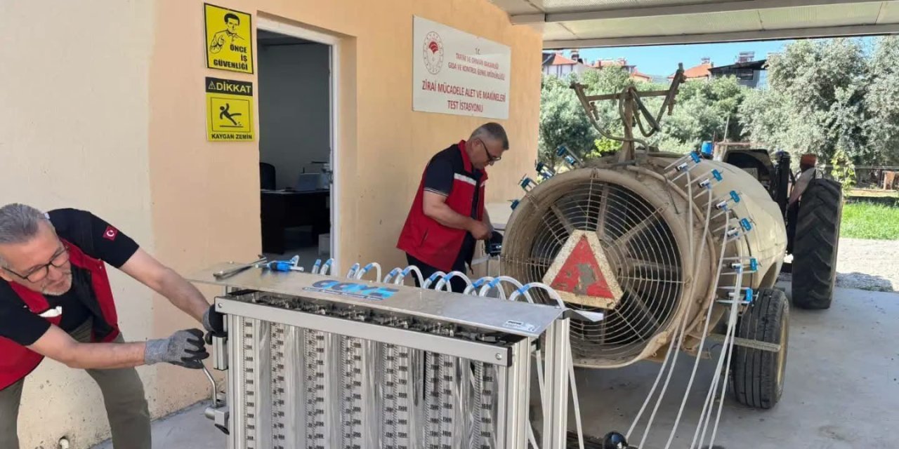 Üzümde kalıntı riskine karşı sıkı denetim