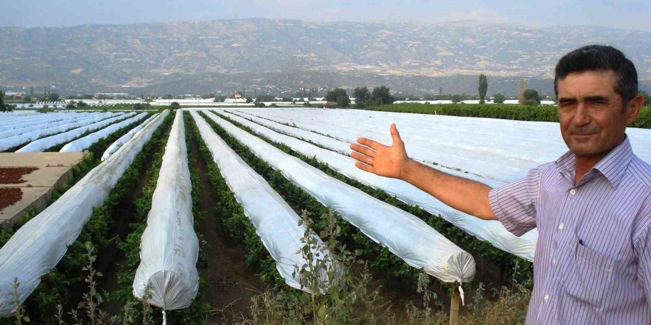 Sarıgöl Ovası beyaza bürünmeye hazırlanıyor
