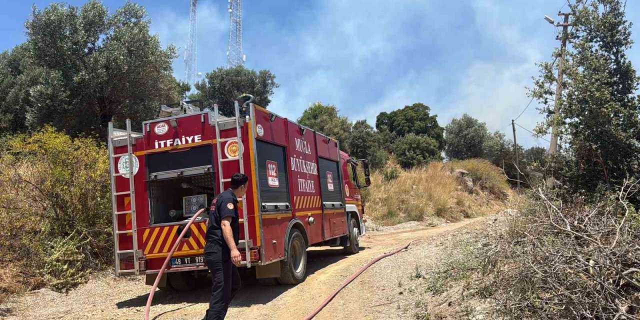 Bodrum’da çıkan yangın büyümeden söndürüldü