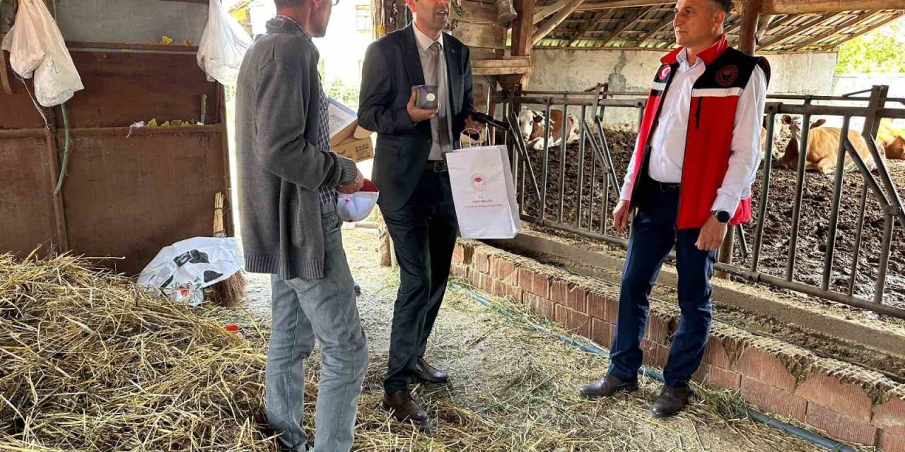 Uşak Tarım ve Orman Müdürlüğü ekipleri sahada incelemelerde bulundu