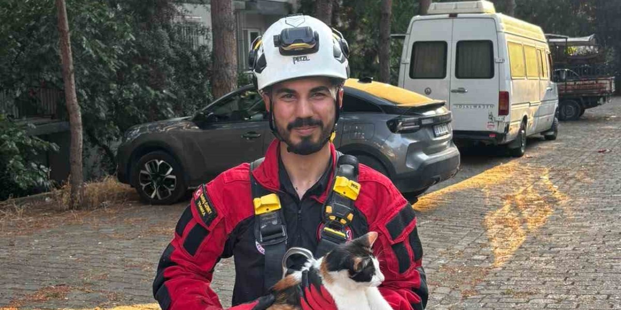 Üç gündür ağaçta mahsur kalan kedi kurtarıldı