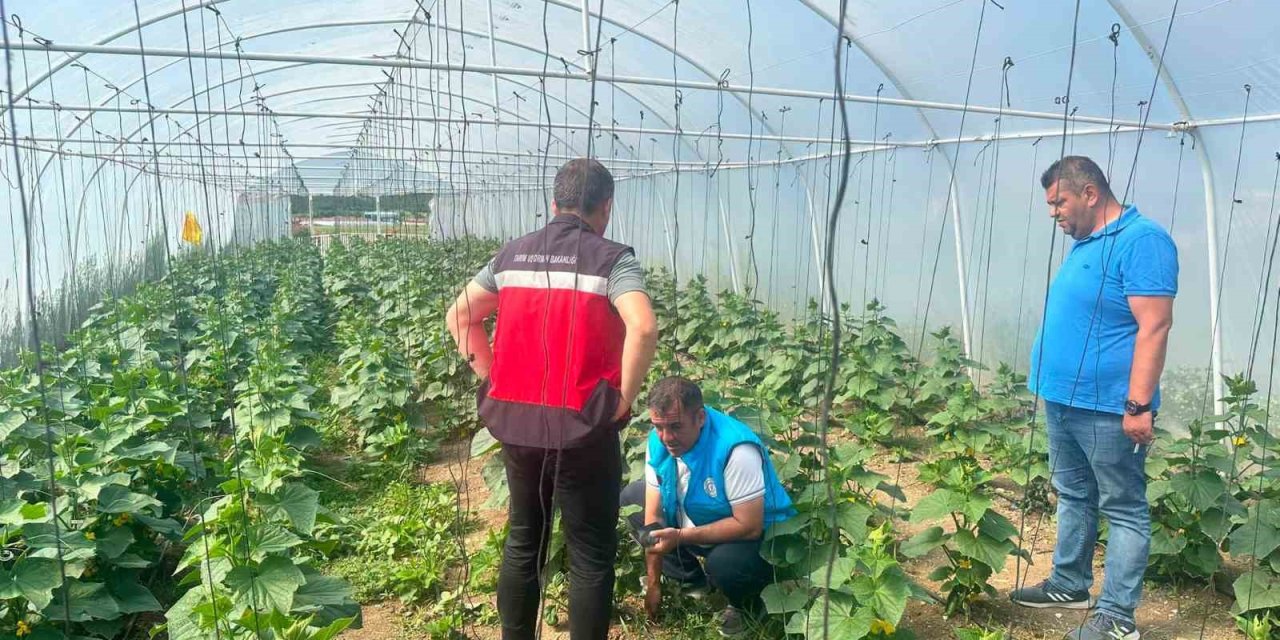 Tavşanlı cezaevi serasında üretim faaliyetleri incelendi