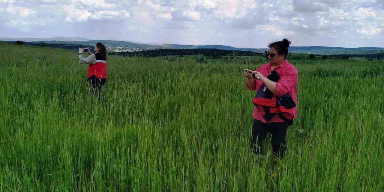 Kütahya’da saha kontrolleri ve veri giriş işlemleri aralıksız sürüyor