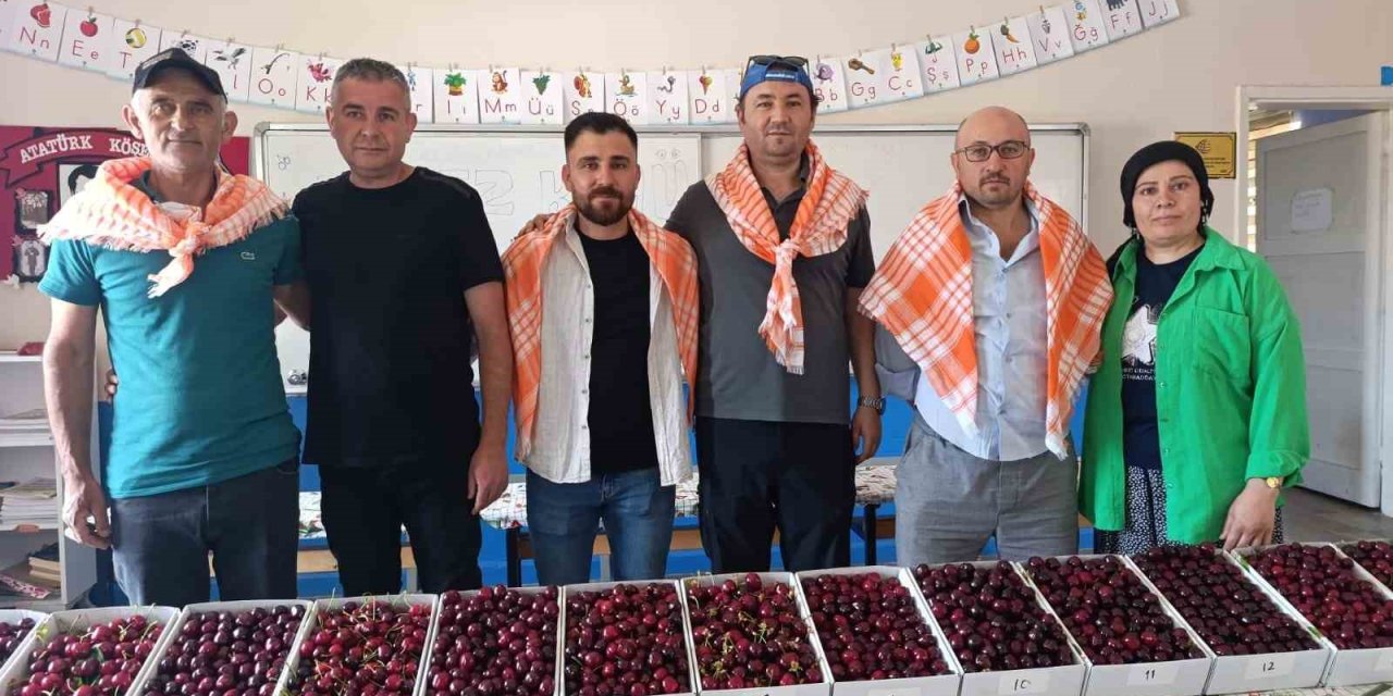 Binlerce insan Kiraz Festivali için Börez’e akın etti