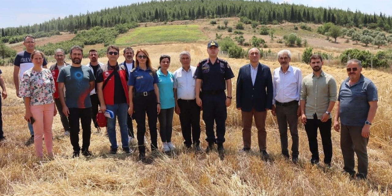 Yatağan’da hasat şenliğine yoğun katılım