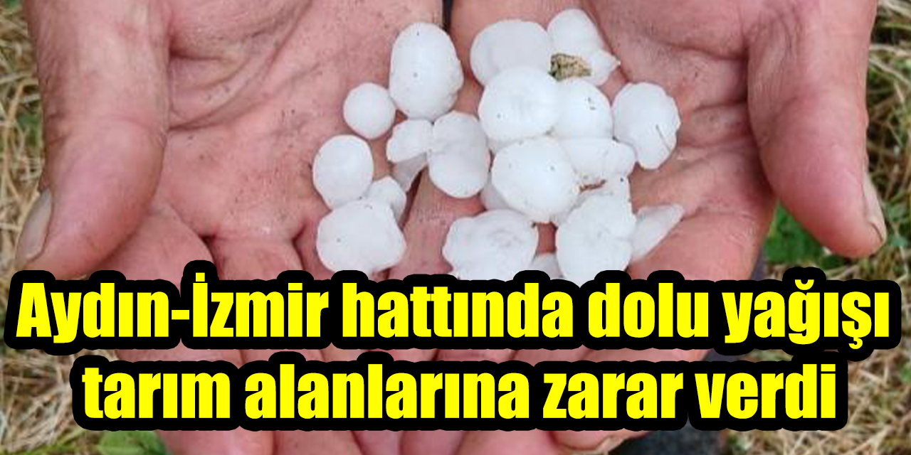 Aydın-İzmir hattında dolu yağışı tarım alanlarına zarar verdi