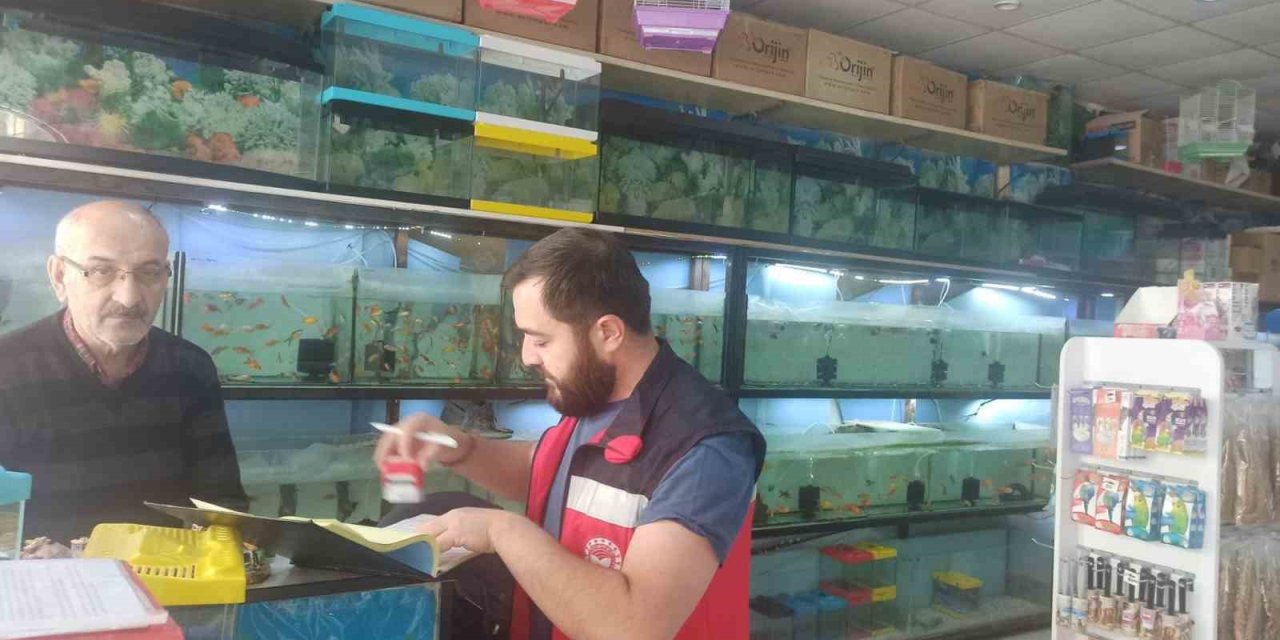 Kütahya’da ev hayvanı satış yerlerinde denetim