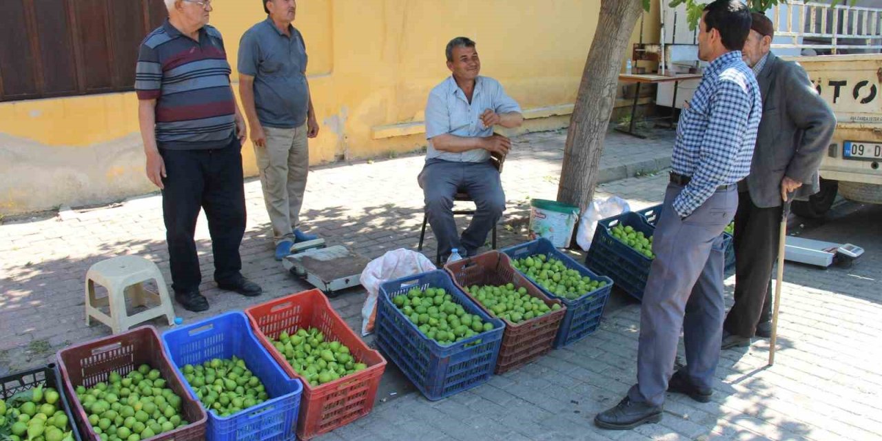 Bu pazarda meyve değil sinek satılıyor