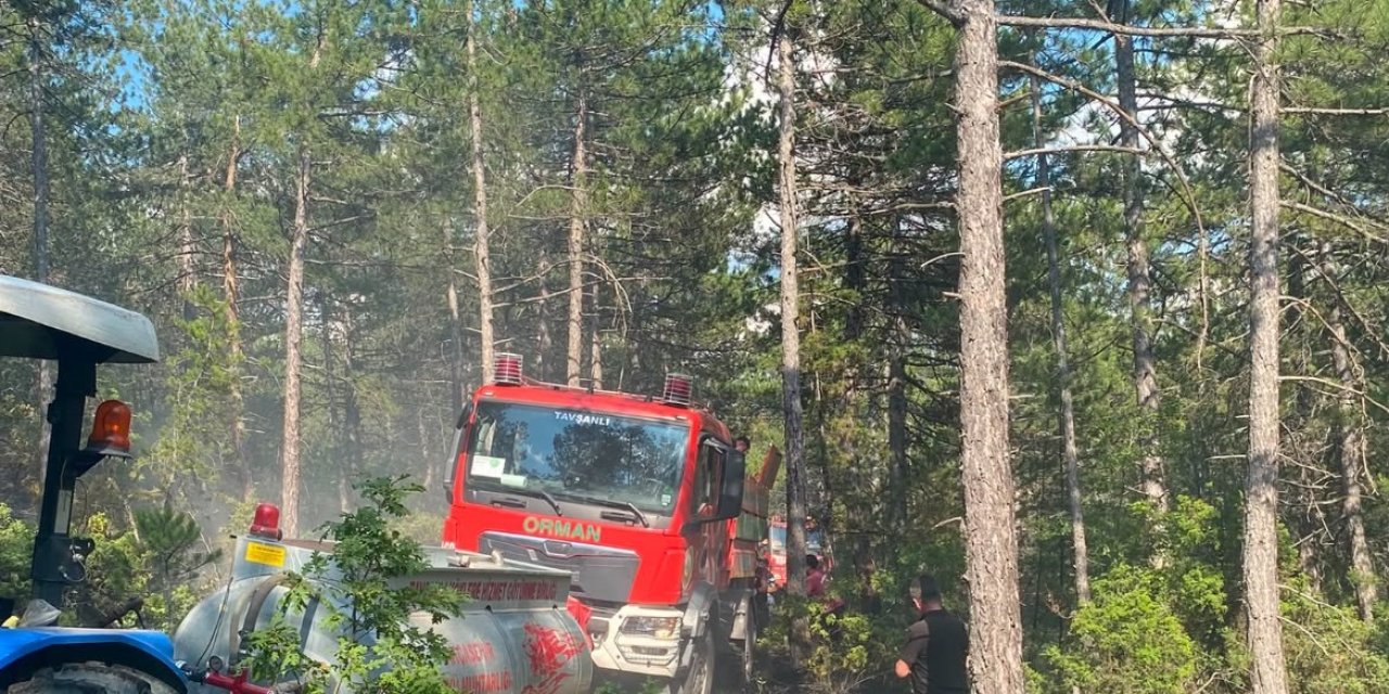 Kütahya’da yıldırım orman yangınına neden oldu