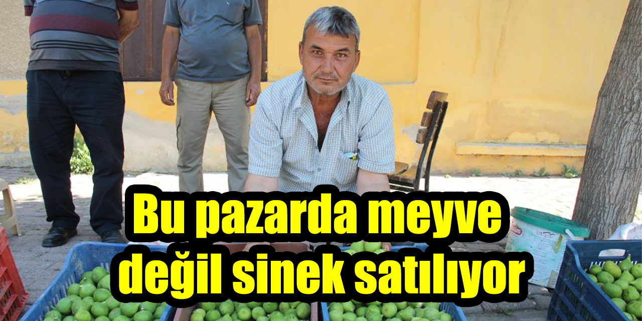 Bu pazarda meyve değil sinek satılıyor
