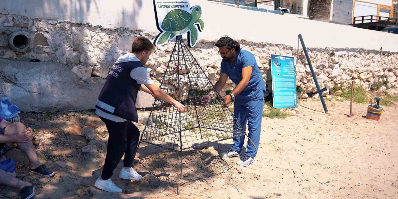 Didim Belediyesi deniz kaplumbağalarının yuvalama alanlarını koruma altına aldı