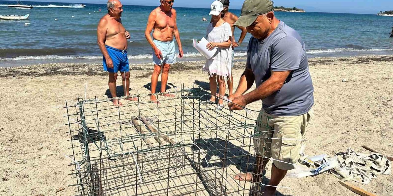 Didim’de ikinci caretta yuvası koruma altına alındı