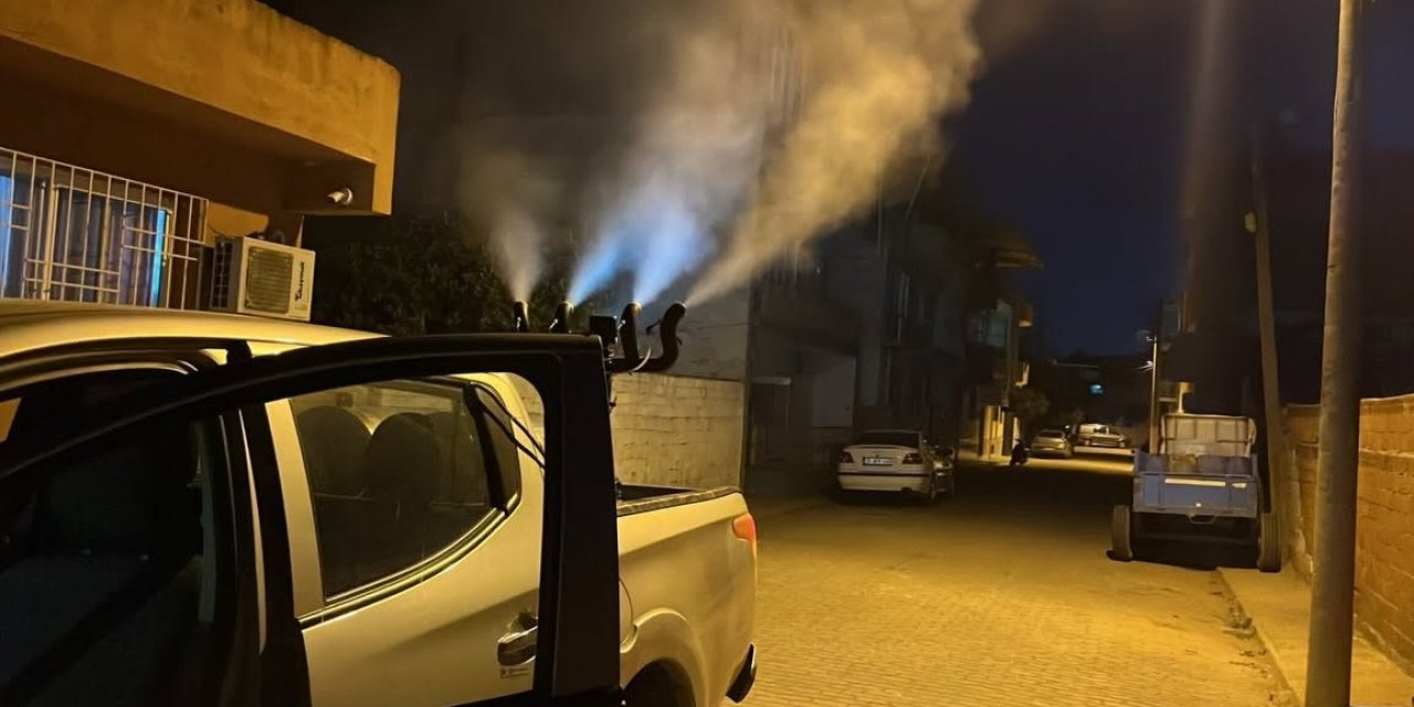 Germencik’te sivrisinek ve haşerelere karşı gece ilaçlaması