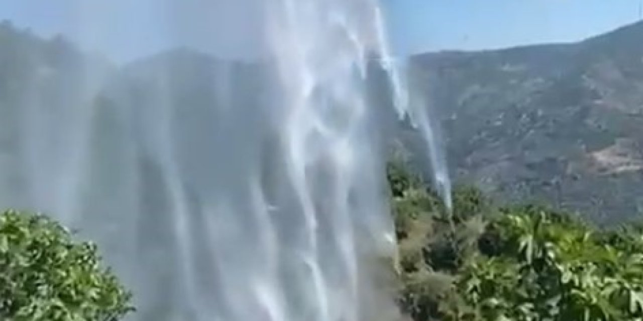 Yemek ısıtmak için yaktığı ateş incir bahçesini kül etti