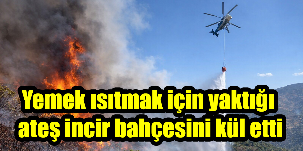Yemek ısıtmak için yaktığı ateş incir bahçesini kül etti