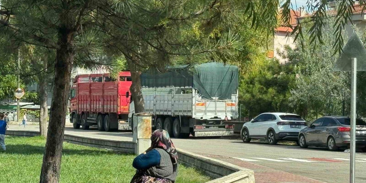Erol’dan mahalle aralarına park eden tır ve kamyon sürücülerine önemli uyarı: