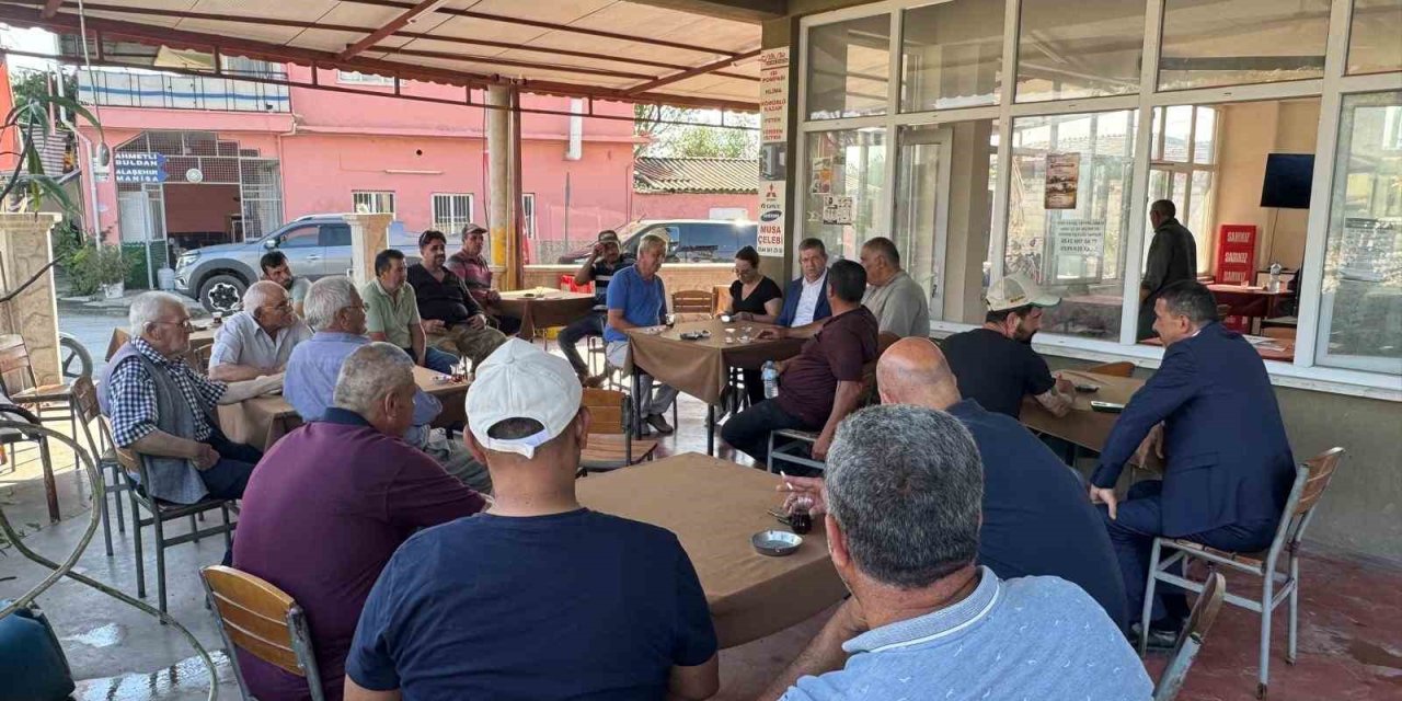 AK Parti İl Başkanı Subaşıoğlu, Sarayköy’de buğday hasadı yaptı