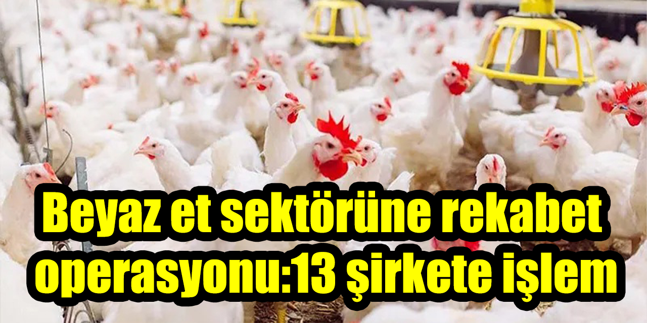 Beyaz et sektörüne rekabet  operasyonu:13 şirkete işlem