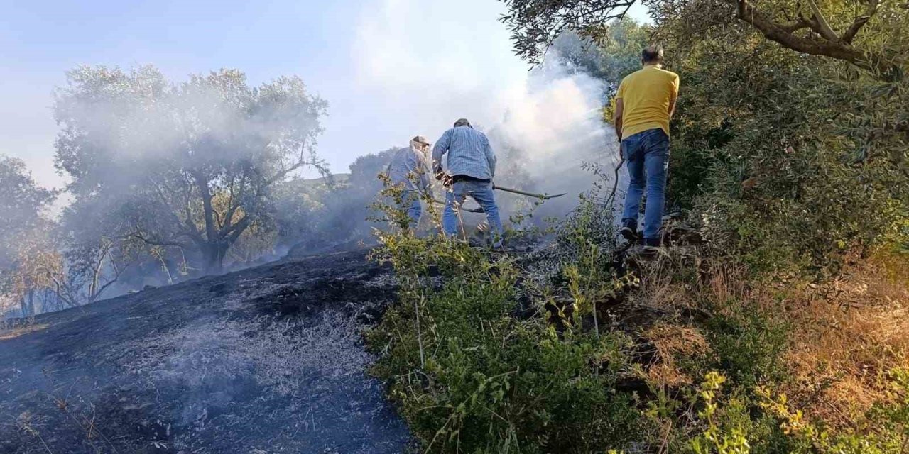 Bozdoğan’da arazi yangını