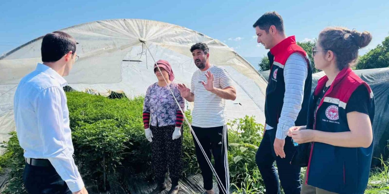 Bozdoğan’da tarımsal üretim sahada değerlendirildi