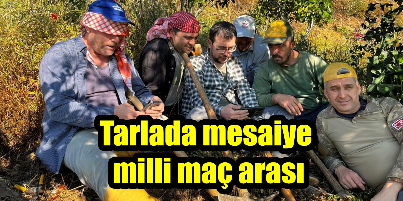 Tarlada mesaiye milli maç arası