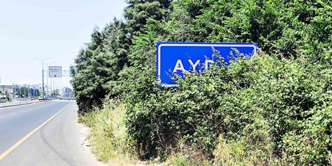 Karayolu üzerindeki Aydın tabelası çalılar arasında kaldı