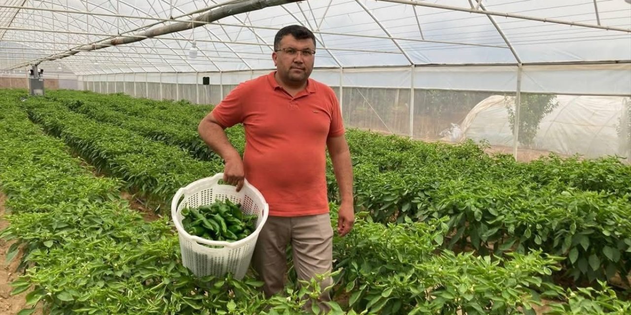 Lezzeti fiyatını unutturuyor