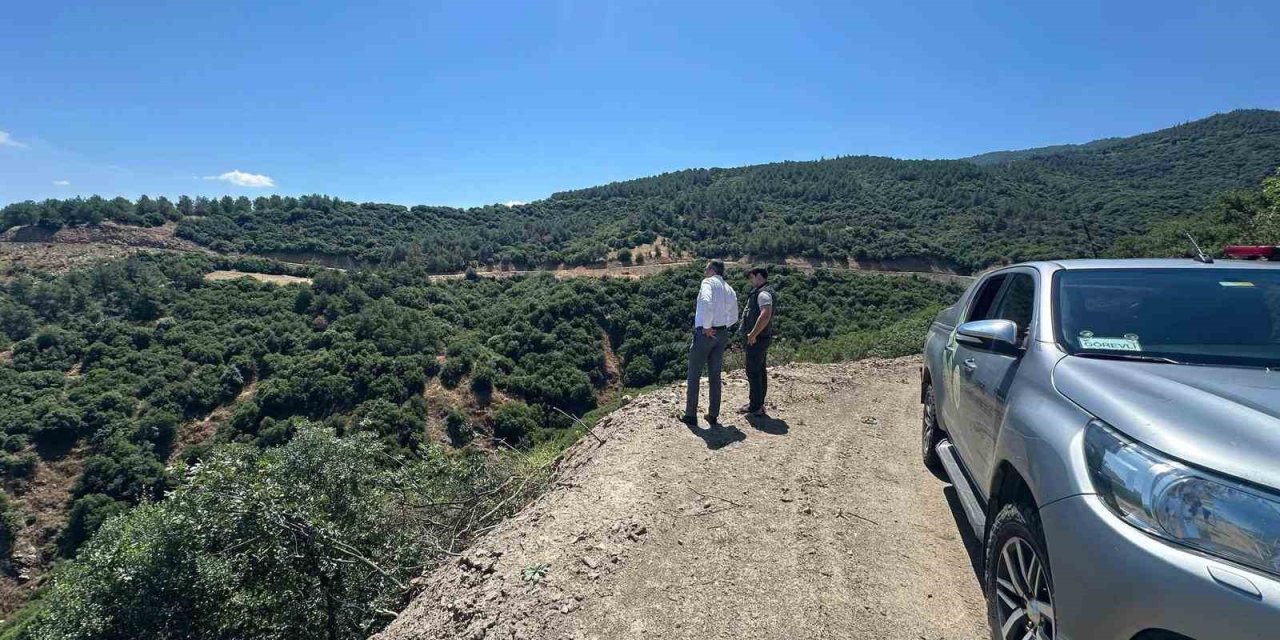 Sarıgöl’de orman yangınlarına karşı alarm seviyesi yükseldi