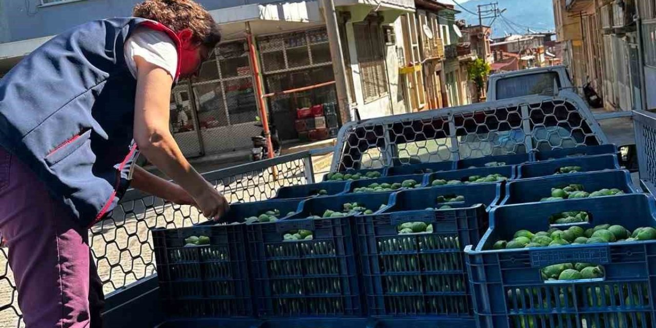 Bozdoğan’da İlek denetimleri aralıksız sürüyor