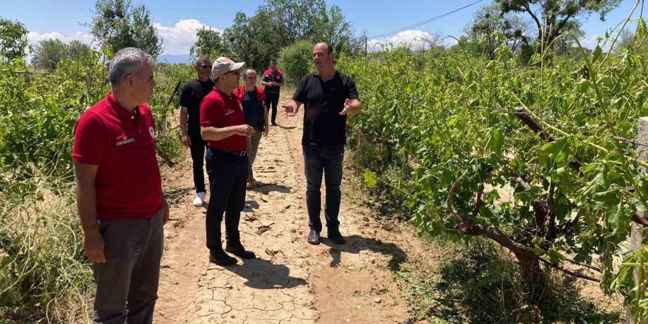 Çal’da dolu yağışı ürünlere zarar verdi