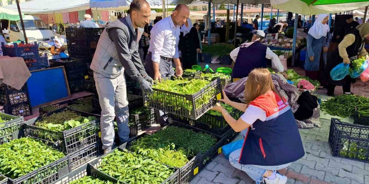 Pazarlarda satılan tohum ve fideler kontrol edildi