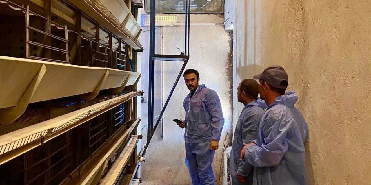 Kanatlı hayvan işletmelerine yönelik denetim