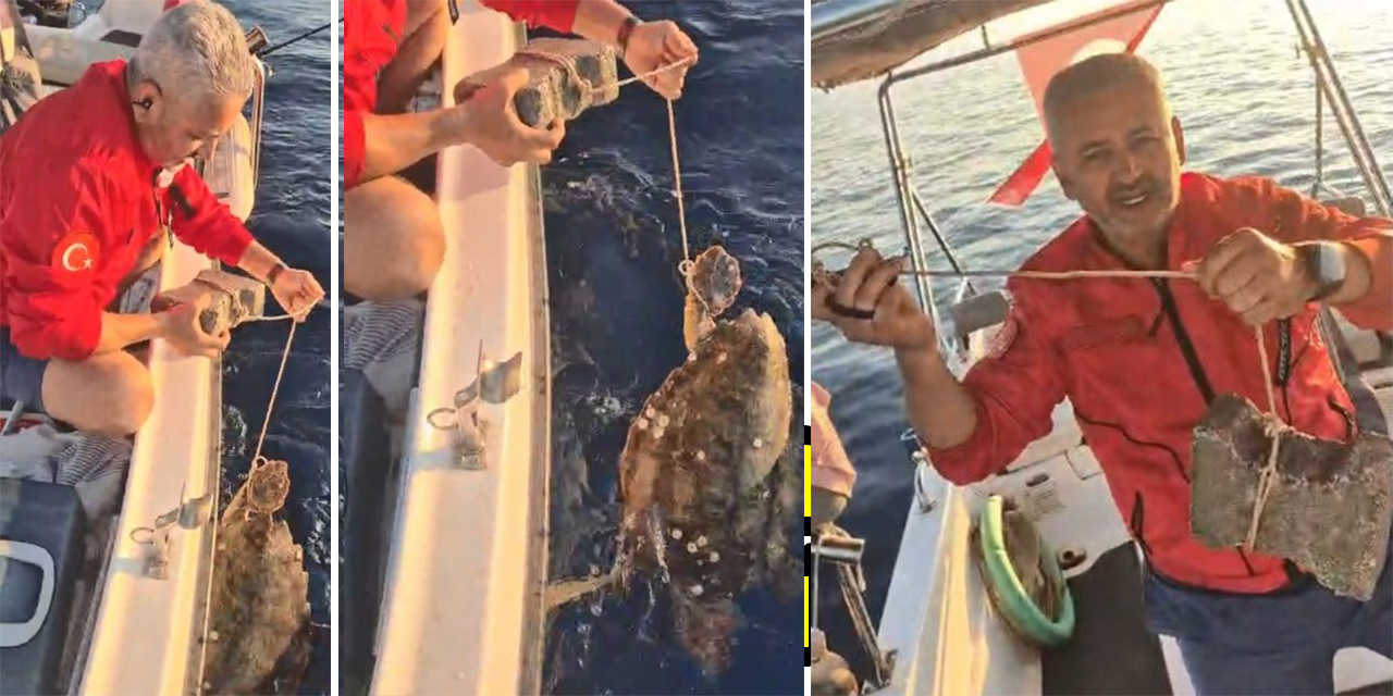 Kuşadası’nda vicdanları sızlatan olay: Ayağına taş bağlanan caretta carettayı balıkçılar kurtardı