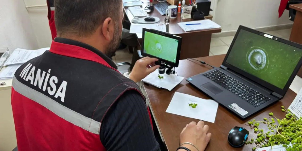 Manisa’da 102 istasyondan gelen verilerle üreticiye erken uyarı