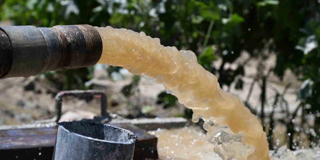 Bağların geleceğini kurtaran sondaj