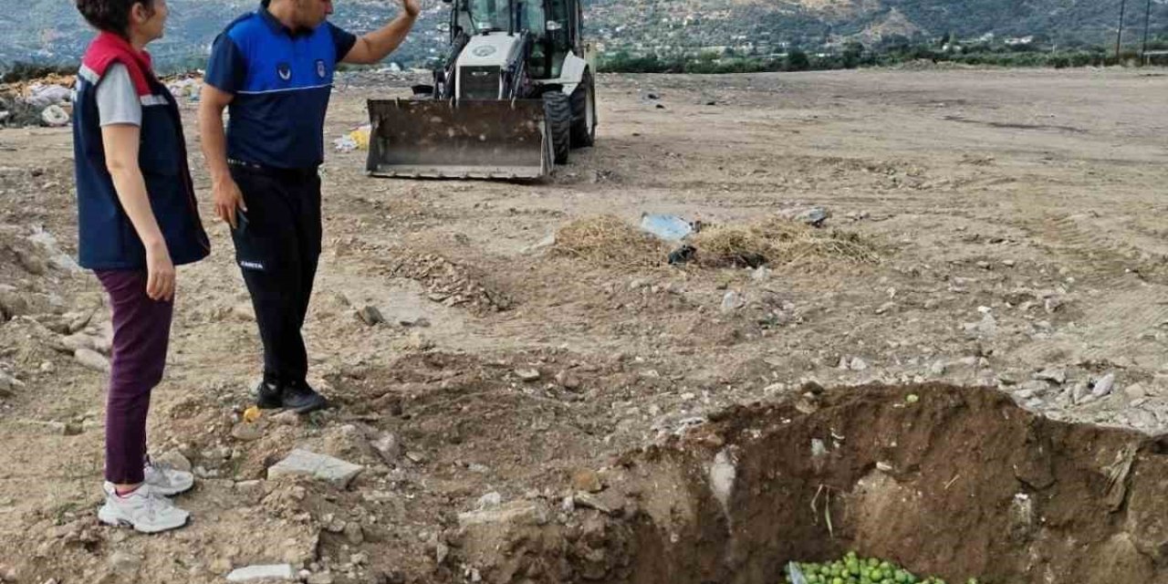 Bozdoğan’da hastalıklı ilekler imha edildi