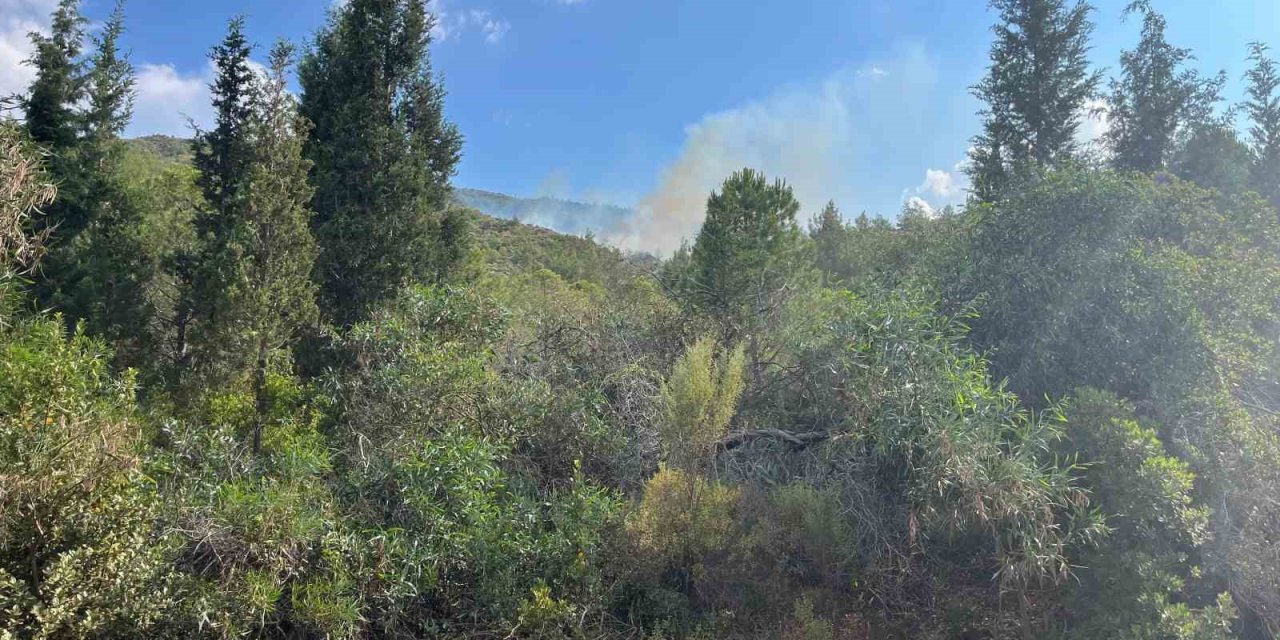 Marmaris’te yıldırım kaynaklı orman yangını
