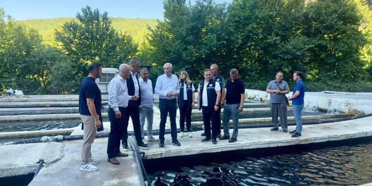 Eşen Havzası’ndaki Alabalık tesislerinde sektör değerlendirmesi